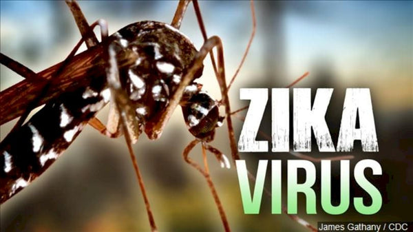 Zika virus sexually transmitted in Florida, officials say